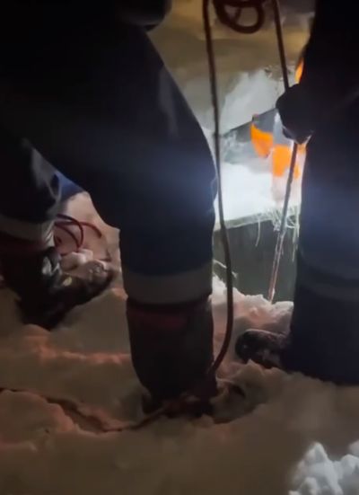 В Ногинске спасли лабрадора, который провалился в канализационный колодец с ледяной водой