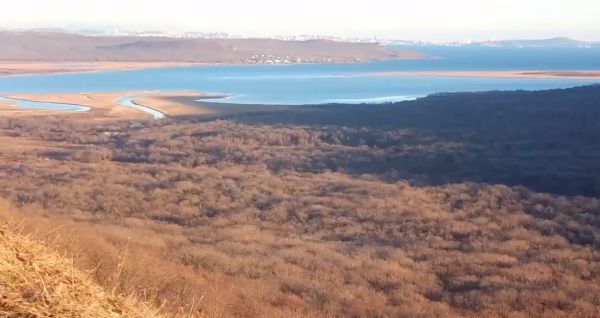 В Приморье в фотоловушку попал амурский тигр