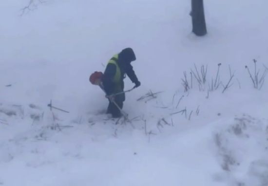 Зимний покос травы в Санкт-Петербурге