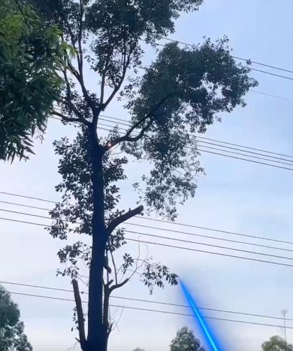 В Китае используют лазеры для обрезки деревьев в охранных зонах ЛЭП