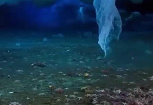 Палец смерти - необычная форма морского льда
