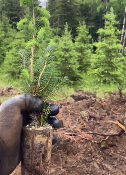 Этот парень в свои 25 лет посадил уже 1,5 млн. деревьев⁠⁠