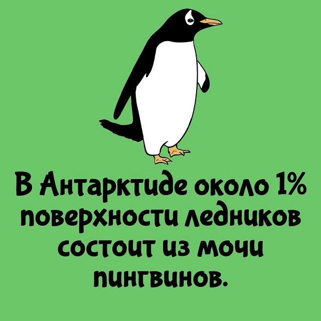 Познавательные факты на все случаи жизни 06.06.2024