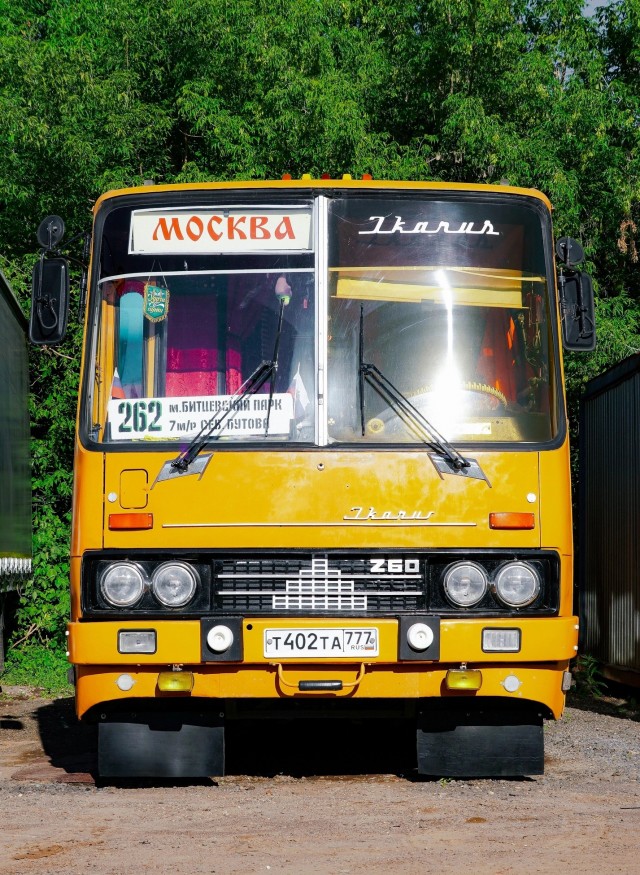 Просто ламповые фото Ikarus, разные