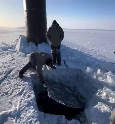 Встреча полярников с подводниками⁠⁠