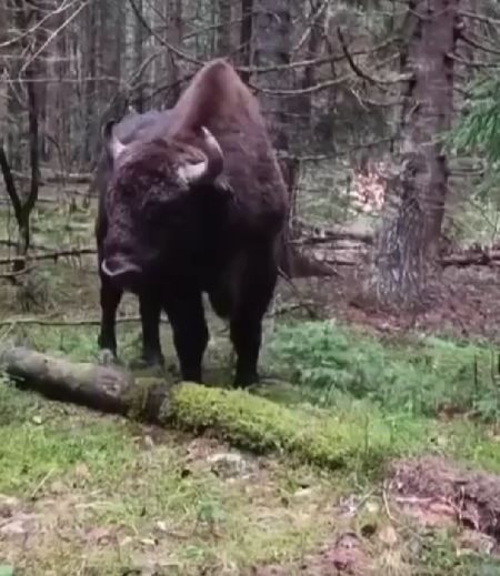 Премию Дарвина этой дамочке!⁠⁠