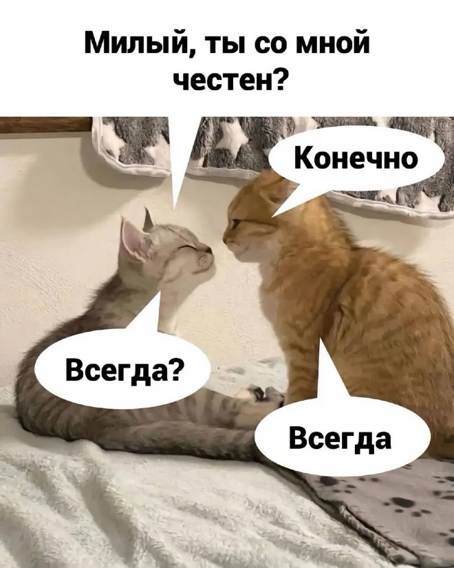 Честность