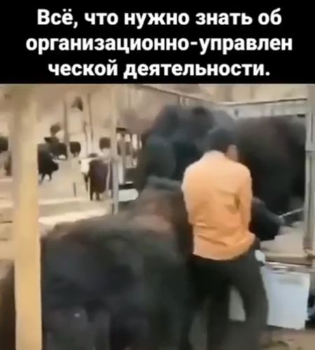 Быть успешным управленцем не просто⁠⁠