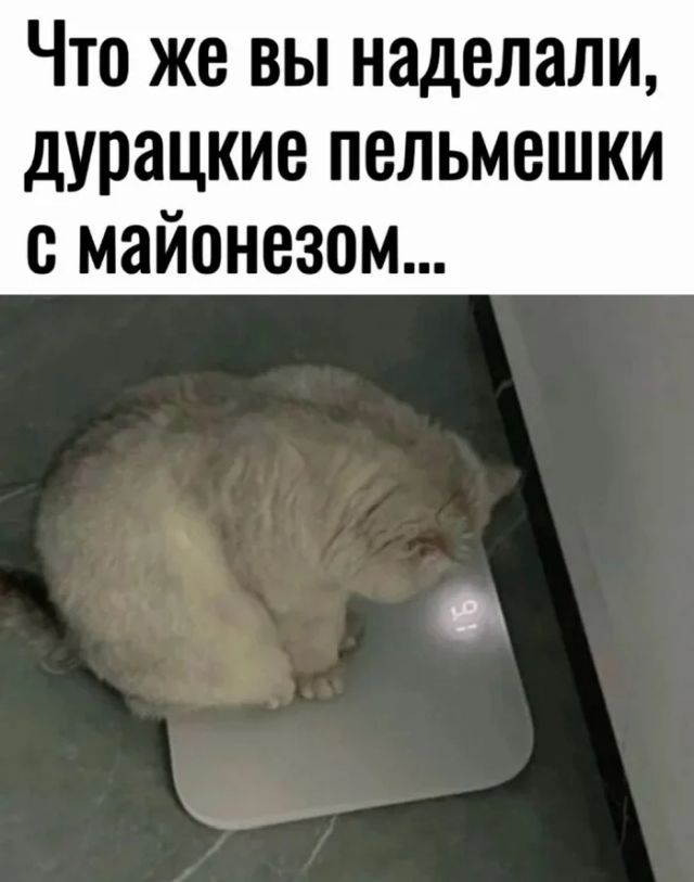 Утренний юмор четверга