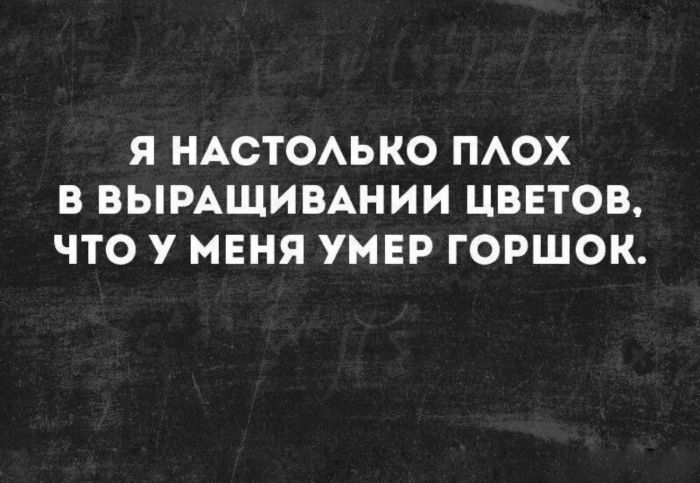 Немного юмора и философии в субботний вечер