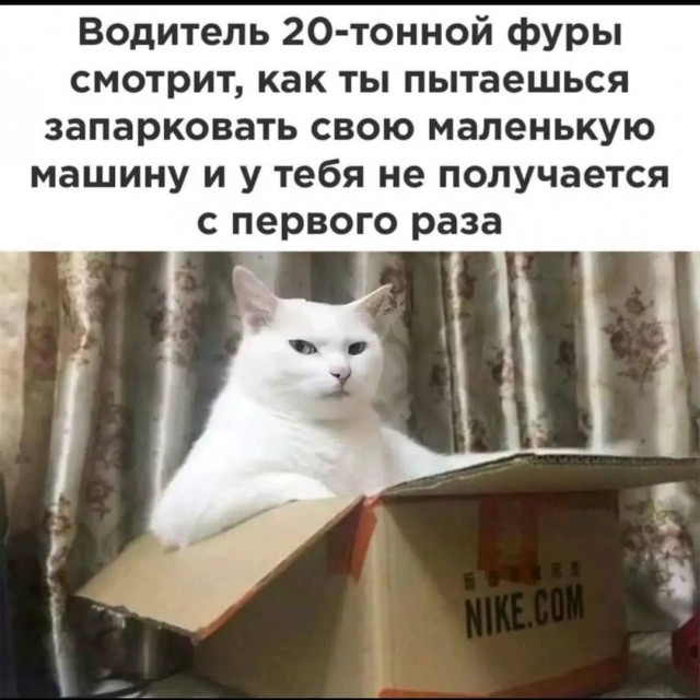 Приколы вторника