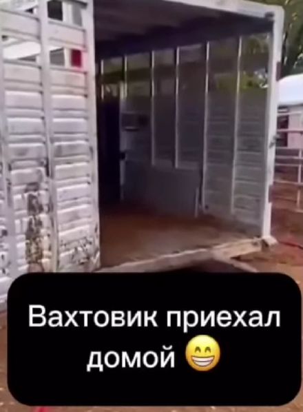 Бежит к своей любимке⁠⁠