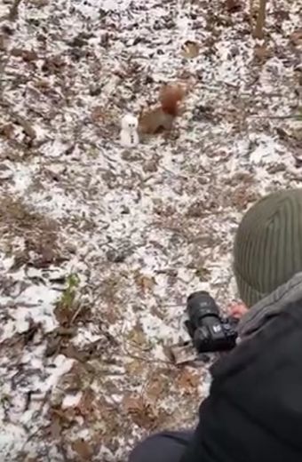 Фоткаем зверушек правильно