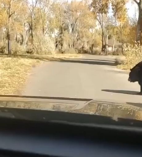 Когда ну очень долго был у бабушки⁠⁠