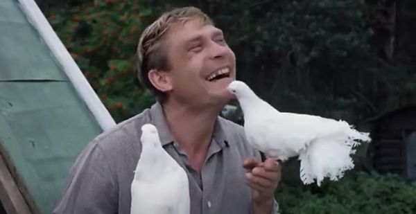 "Любовь и голуби"