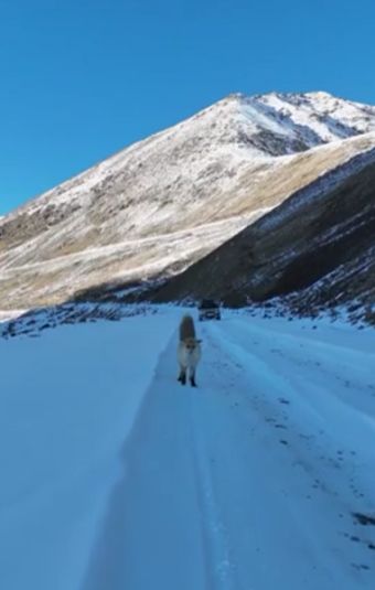 Видео с путешествия действительно удалось