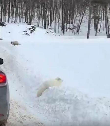 Не, ну это уже совсем какой-то полный писец…