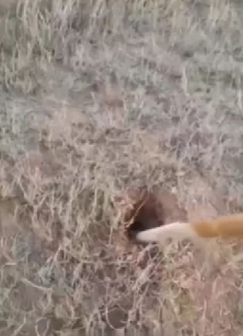 -Ключ на старт! - Старт!