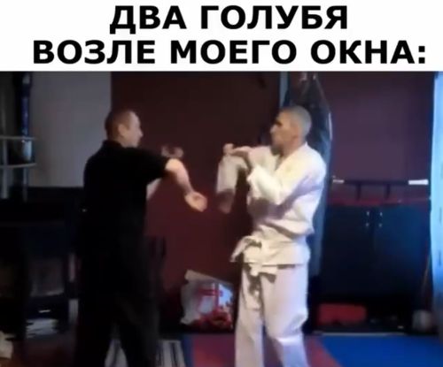 Курлык, мазафака⁠⁠