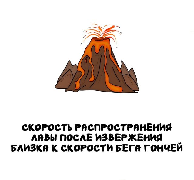 Интересные факты на все случаи жизни (15 фото)