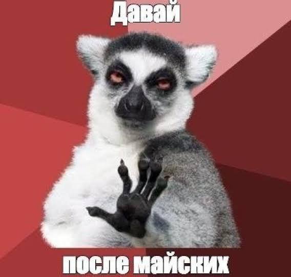 Шутки и мемы 29.04.2025