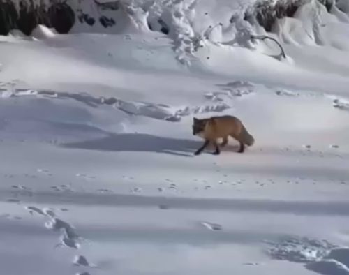 Ну что значит не надо?