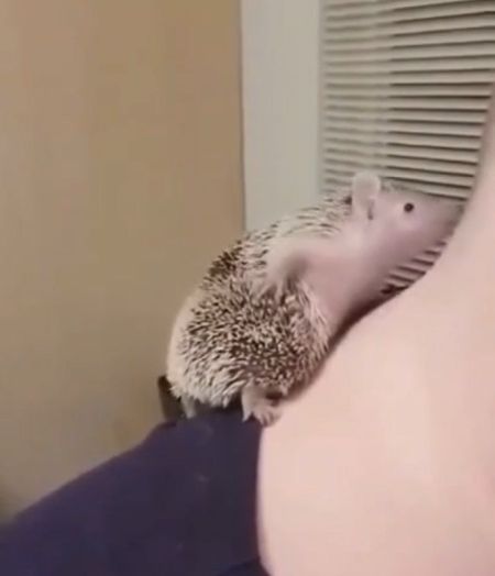 Чешется⁠⁠