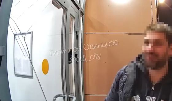 "Она сказала дёргай, дёргай — я и дёрнул"