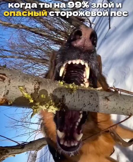Страшно, очень страшно⁠⁠