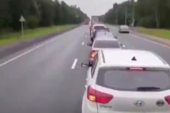 Судя по региону, это Карелия