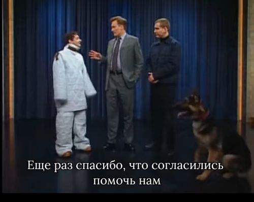 Пёс вырос в гетто