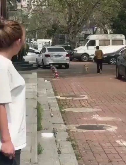 "Я от восторга прыгаю..."⁠⁠