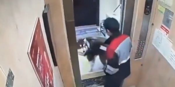 Сожрали гражданина походу…