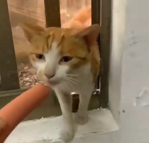 "Что-то в глаз попало..."⁠⁠