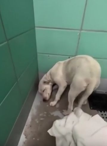 Из маленькой каморки, в большую семью