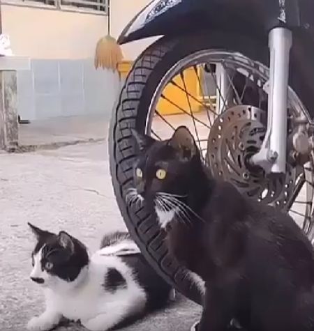 Не, ну ты видела это?⁠⁠
