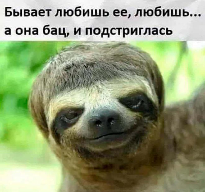 Смешные мемы