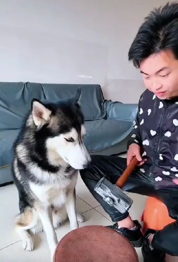 Боец⁠⁠