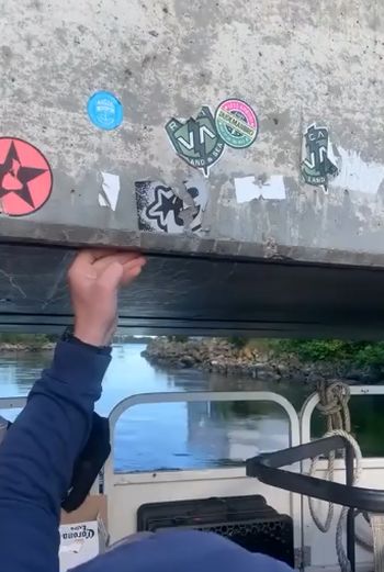 Барбекю на воде пошло не по плану