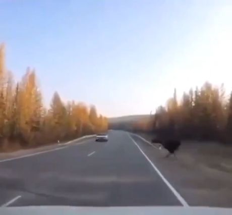 Чудесное спасение⁠⁠