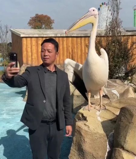 Хочу оригинальную фотку... Ни слова больше!⁠⁠