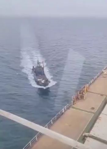 Пробуждение морского волка