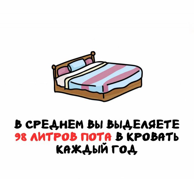 Интересные факты на все случаи жизни (14 фото)