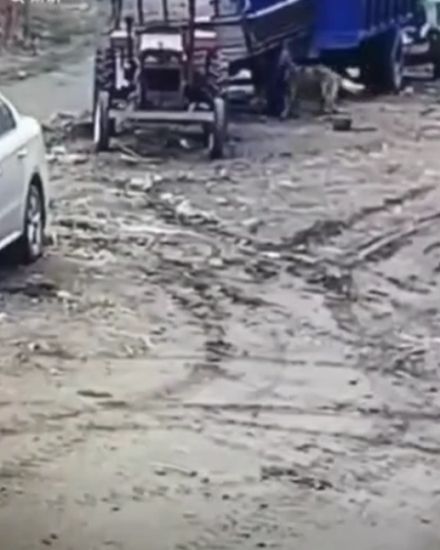 Кому сказать - не поверят!