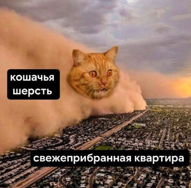 Смешные мемы