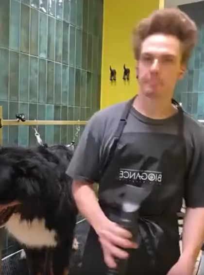 Дуэт⁠⁠