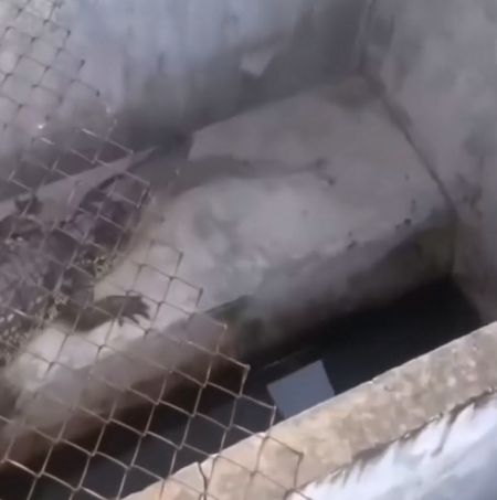 Когда жизнь предоставляет шанс, а я...⁠⁠