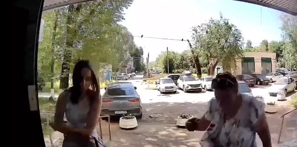 Вежливость