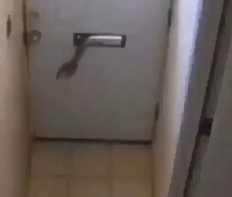 Ни один грабитель не пройдёт⁠⁠
