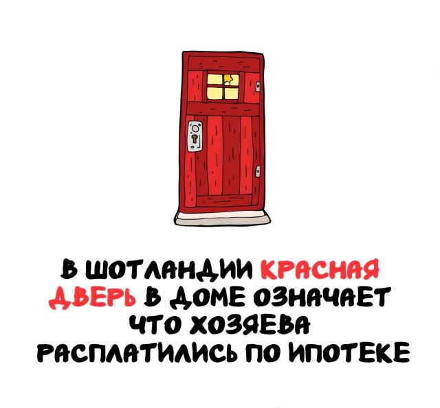 Интересные факты на все случаи жизни (15 фото)